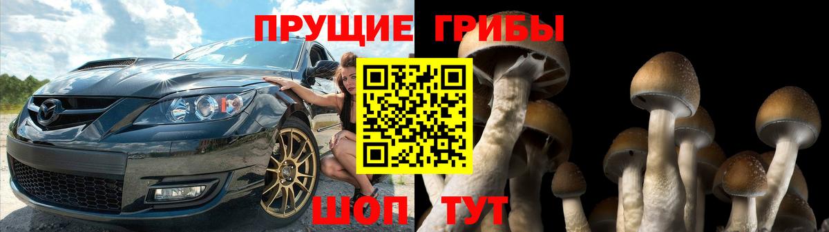 Галлюциногенные грибы Psilocybe  Вход с VPN  Великий Устюг 