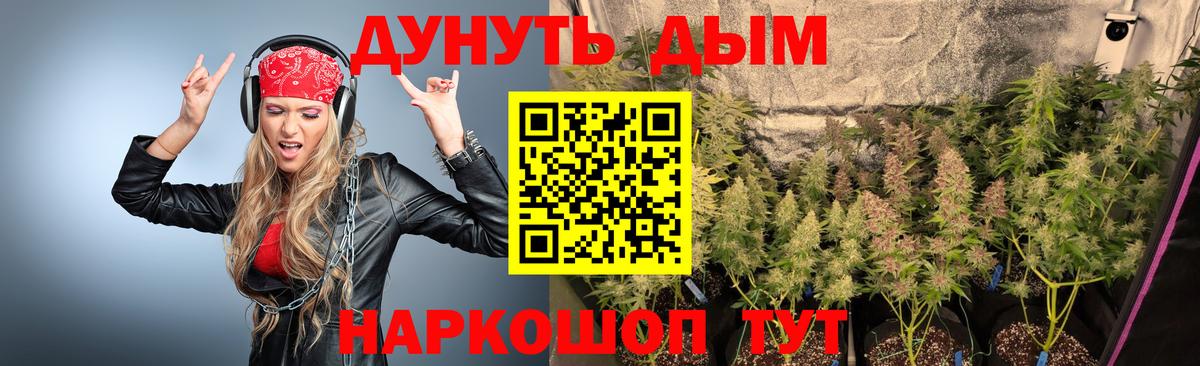 Бошки Шишки Amnesia Великий Устюг